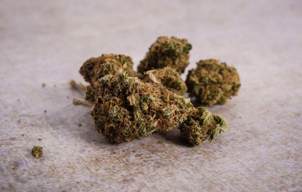 What is THCa Hemp Flower and What are Its Advantages?