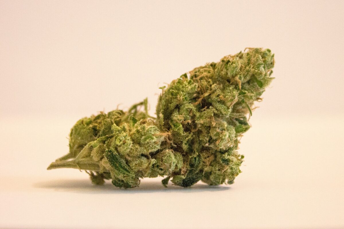 Exploring the Entourage Effect: THCA Flower and Its Synergistic Benefits
